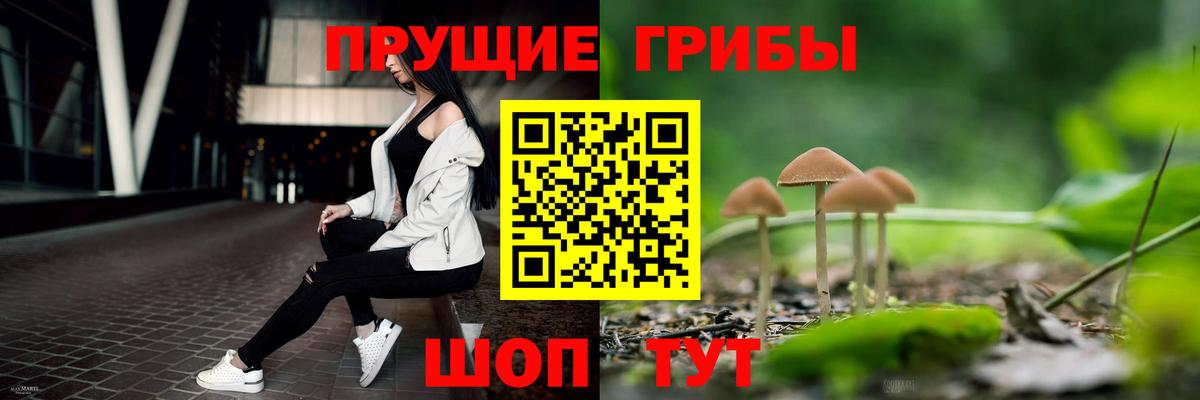 Ипатово  Галлюциногенные грибы MAGIC MUSHROOMS  сколько стоит  Вход с VPN 